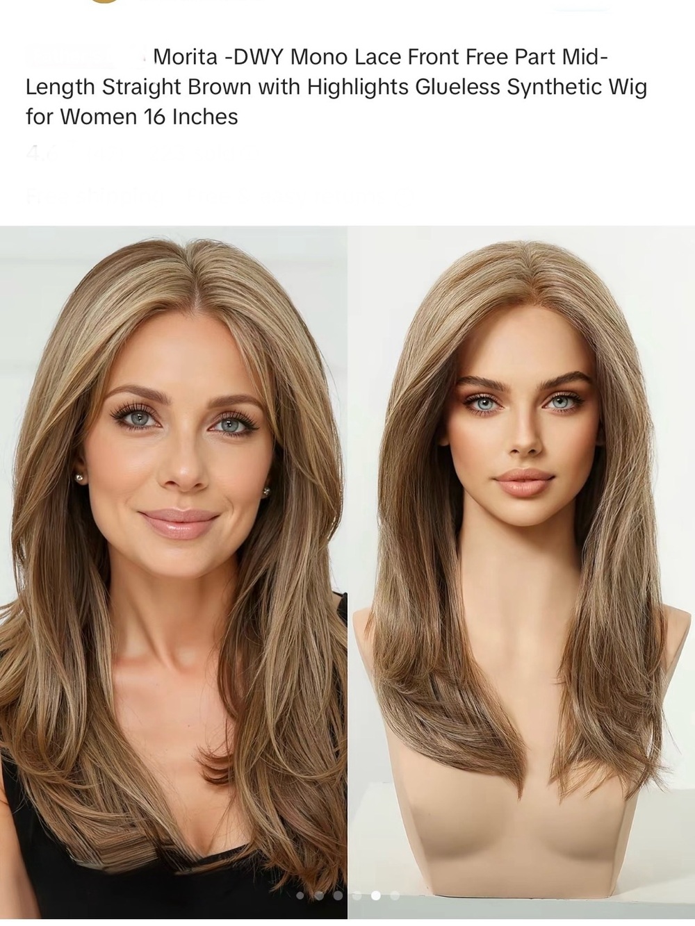 Morita Mono Lace Front Straight Wig in Brown with Highlights DWY